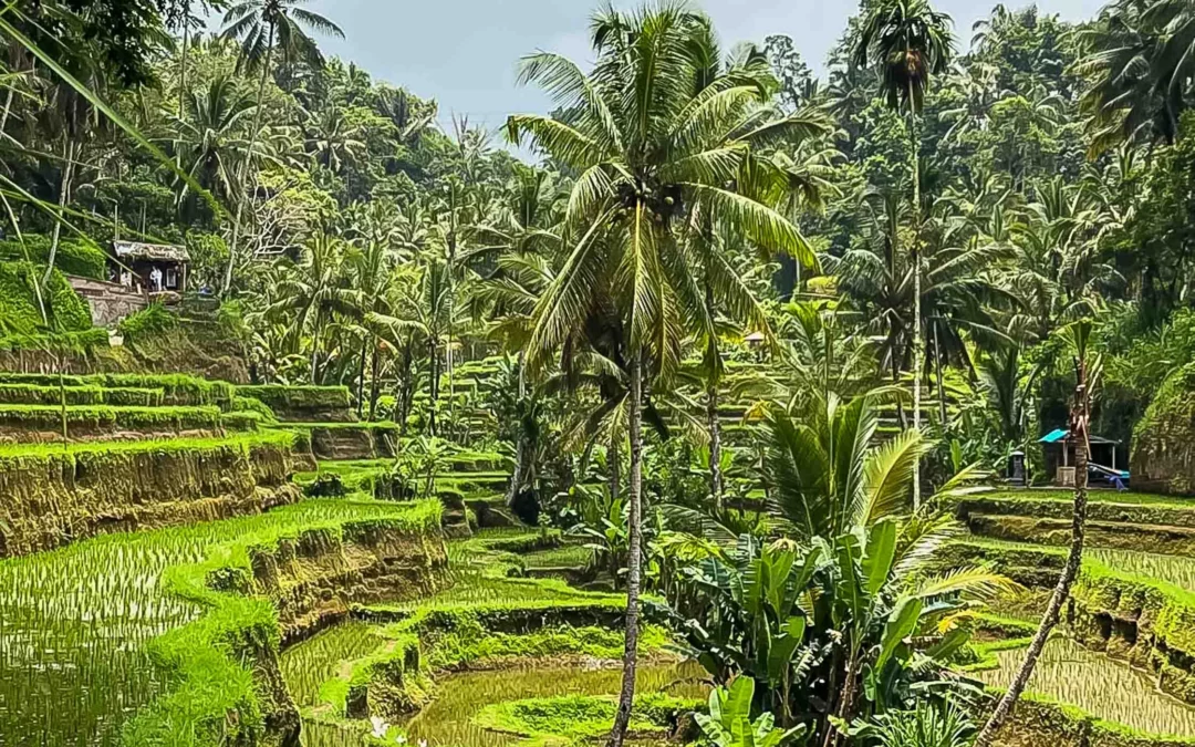 Spirituele reis BALI – 03-19 november 2026