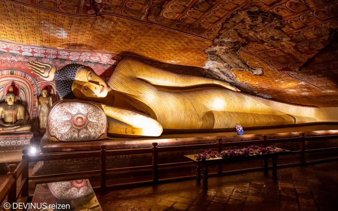 Spirituele rondreis SRI LANKA – 24 februari – 12 maart 2027